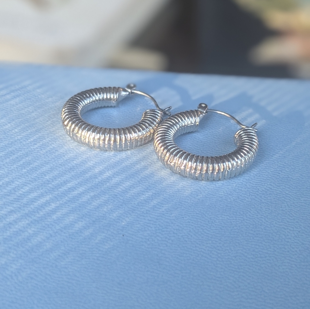 Urban Outfitters Silver Chunky Coil Cowgirl Hoop Earrings